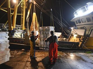 Feit of Fictie: 'Met alle losgeraakte visnetten in zee kun je 500 keer de wereld rond'