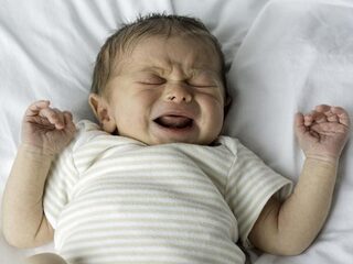 Werd de mens intelligent(er) door hulpeloos kroost?