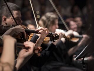 'Het klimaat in Nederland voor musici is dramatisch'