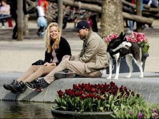 Nederlanders een stuk optimistischer