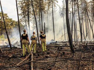 Honderden hectaren bos in lichterlaaie: waarom wordt iemand pyromaan?