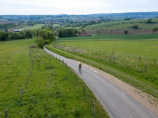 Geen Amstel Gold Race dit jaar: 'Dat doet pijn'