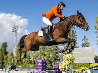Een verzorger van paarden heet 'groom' en Marc Houtzager heeft de beste ter wereld