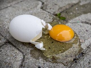 Feit of Fictie: Ei is even duur als zestig jaar geleden