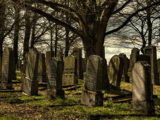 Er liggen duizenden euro's aan niet geïnde polissen bij verzekeraars