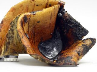 Teer maken volgens Neanderthaler-recept