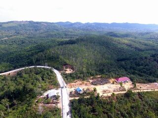 Dit is nu nog een bos. Over 20 jaar ligt hier de nieuwe hoofdstad van Indonesië.