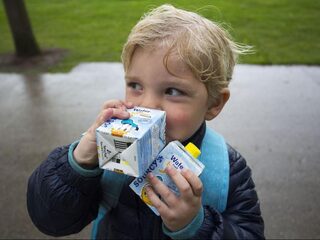 Bronwater en suikervrije dranken goedkoper? 'In andere landen al succesvol'