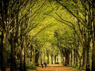 Vraag: Hoe geeft u een draai aan de lege weekenden?