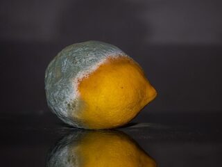 Pas op, ziekmakend eten herken je lang niet altijd