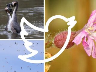 #WAARISDEWINTER, wat merk jij van de zachte winter?