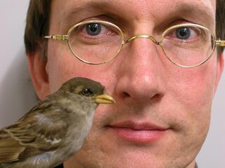 Groen maakt intelligent