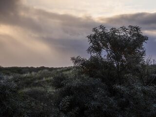 Jochem Myjer: er zijn twee soorten natuurmens