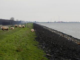 Bewaken slimme sensoren onze kustlijn?