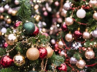 Meerderheid Nederlanders wil kerstboom al vóór Sinterklaas in huis