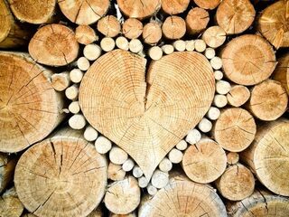 Heel Holland bouwt (met hout)