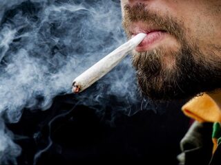 'Bij gedoogbeleid van wietteelt heb ik een 100 procent legale zaak'