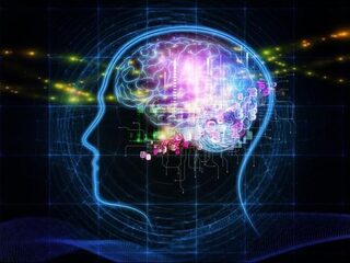 Zo krijg je het brein van een geheugenatleet