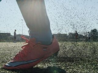 Rubber korrels zorgen ook voor bodemvervuiling