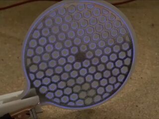 Papier dat bacteriën doodt