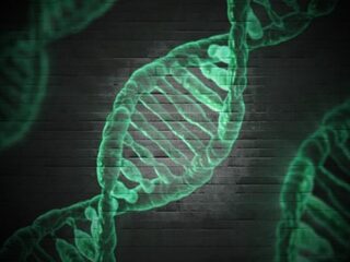 Nog veel vraagtekens rond commerciële DNA-tests