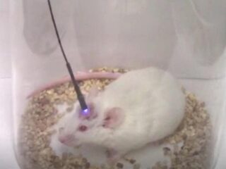 Jeuk is besmettelijk