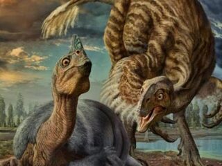 Gigantische dino-eieren zijn van nieuwe soort