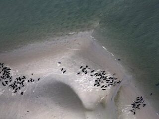 Rapport: Wadden kunnen nog deze eeuw 'verdrinken'