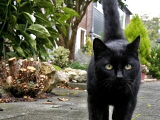 De angst voor Vrijdag de 13e