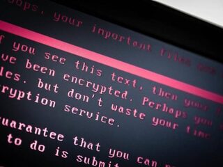 'Virus moest Oekraïne schaden'