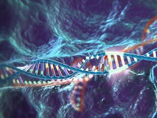 Revolutionaire gentechniek voor het eerst op mensen getest