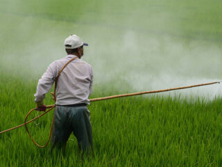 Optelsom van natuurschade kent geen wettelijke basis