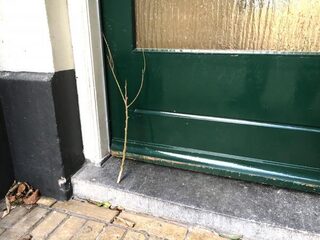 Politiewaarschuwing: Pas op voor takjes bij voordeur!