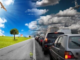 Rijden auto's straks op mierenzuur?