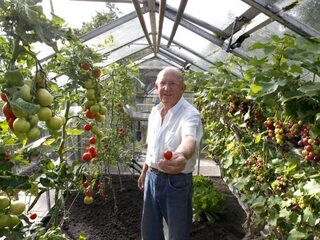 Tips om ongedierte uit je moestuin te weren