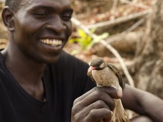 Hoe mens en vogel samen naar honing speuren