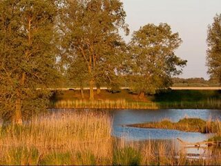 Europese regels voor natuurbescherming verbeterd
