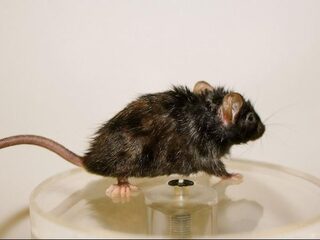 Langer leven, zijn we daar wel klaar voor?