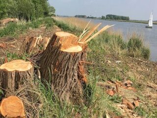 Kap Keteleiland had nooit mogen gebeuren