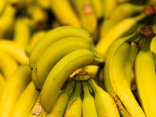 Bestaat er maar één bananensoort? En wordt die bedreigd?