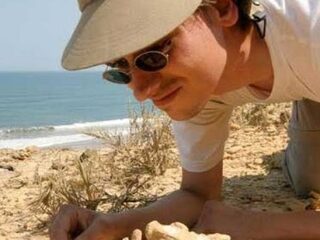 Column: Terecht vergeten groenten