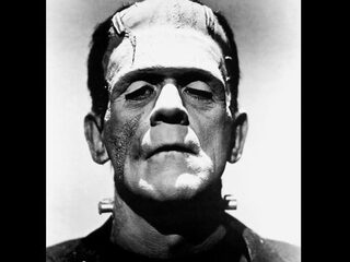 Als het 's zomers alleen maar regent, komen de monsters tevoorschijn