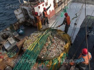 Illegale visserij voor de westkust van Afrika
