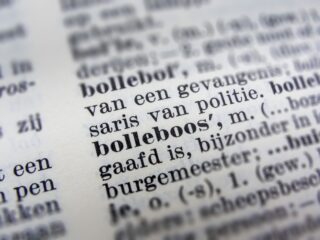 Waarom zijn we niet trots op de Nederlandse taal? 'We onderschatten het heel erg'