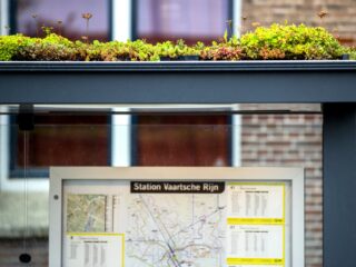 Hebben groene daken in de stad daadwerkelijk een verkoelend effect?