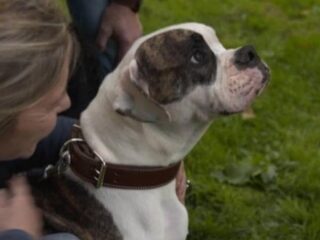 'Pipo de kloon' is geen BNN-grapje