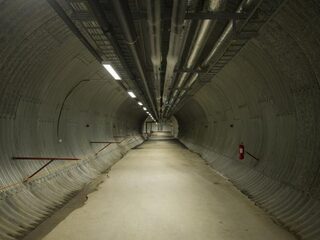 Zijn onze zaden nu wel of niet in gevaar?