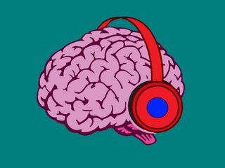 Hersenscan verraadt wat je hoort