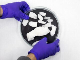 'Allesverwoestende drug' crack in opmars: 'Het is een vlucht uit de realiteit'