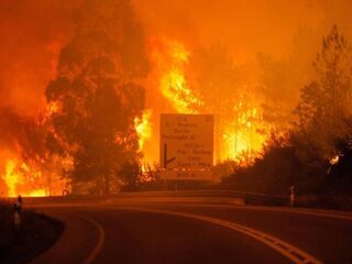 Bosbrand in Portugal eist tientallen levens